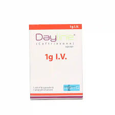 Dayline 1G I.V Ing